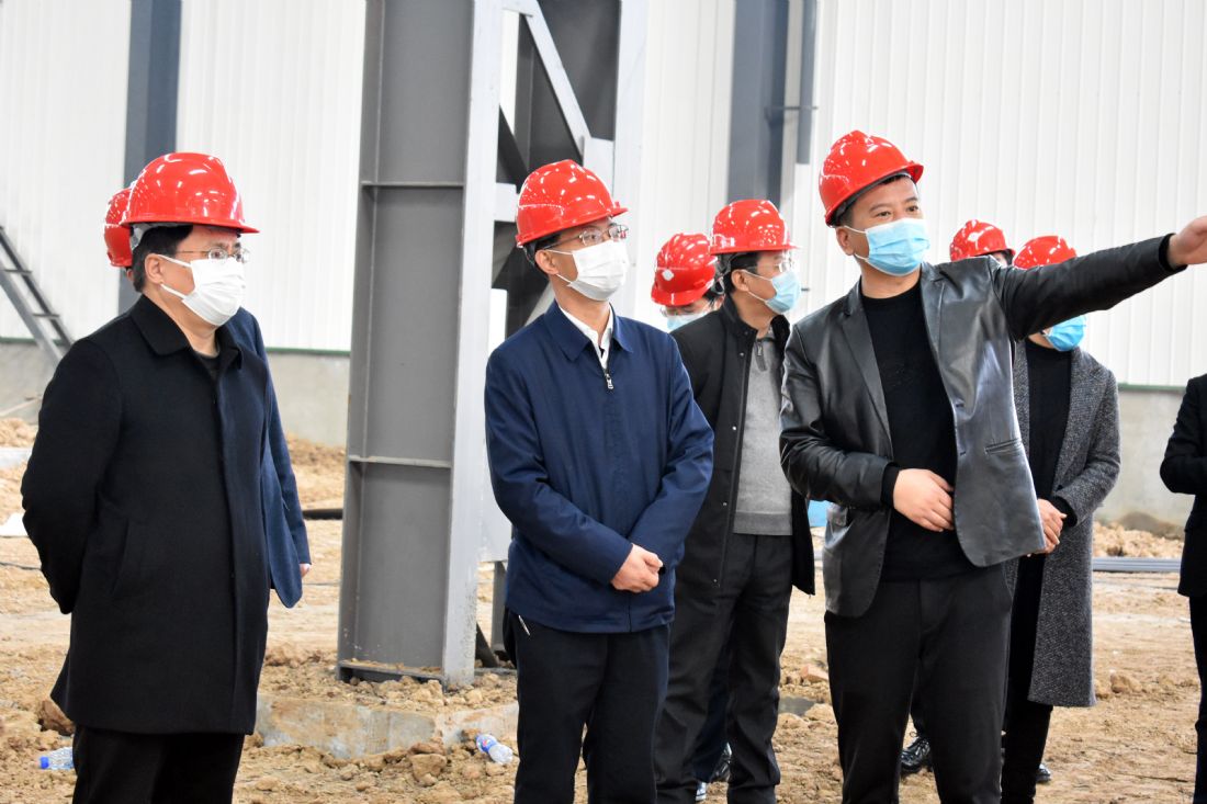 Vice Mayor of Huaibei City visited Limu Technology to investigate the resumption of work and production