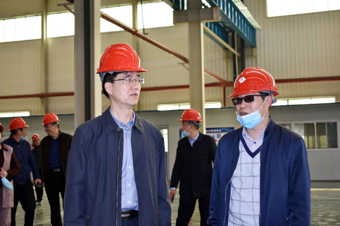 Wang Feng, Director of Huaibei Municipal Bureau of Science and Technology, visited Limu Technology for investigation